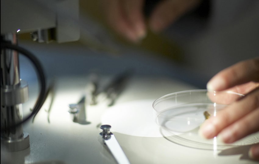 Biology and Chemistry student Kimberly Shorter