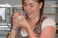 An Exploration of Numerical Abilities in Rats