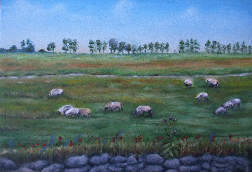 Andrea Elliott Grazing-sheep,-Normandy