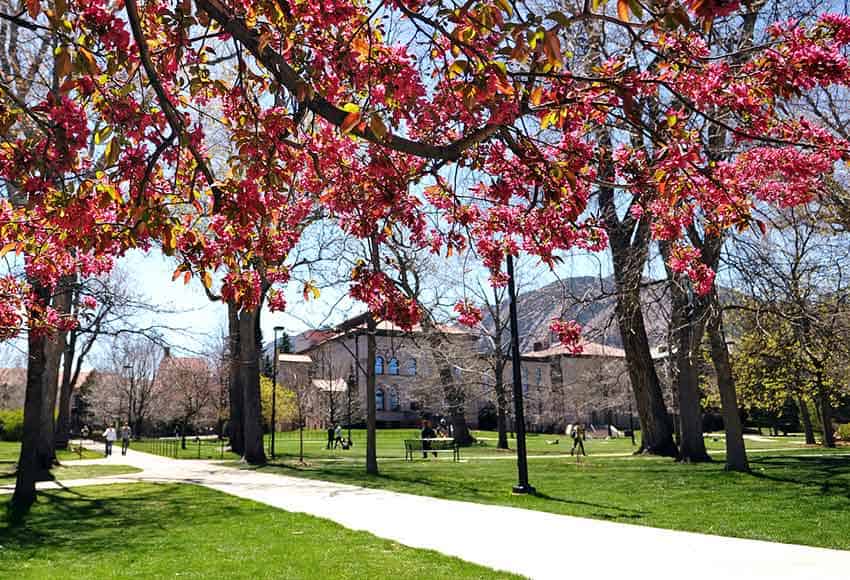 University of Boulder campus