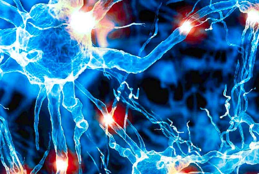 Biomedical photo of neurons