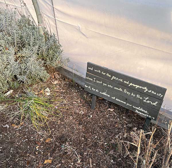 Photo of a garden with a quote that says , "Also, seek the peace and prosperity of the city to which I have carried you into exile. Pray to the Lord for it, because if it prospers, you too will prosper.”